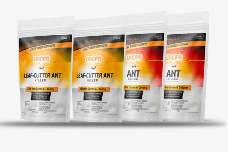 09 Mix & Match Drops Leaf Cutter (1 Kit) Drops Ants (1 Kit) – Hormigas y Zompopos